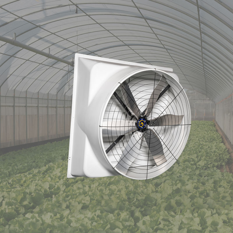 Ισχυρός ανεμιστήρας πτηνοτροφίας 850w Ισχύς εισόδου Ταχύτητα αέρα Βίδα στο πλαίσιο στον τοίχο