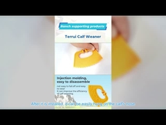 Μόσχος Weaner, εργαλείο απογαλάκτισης αγελάδων βοοειδών, βοοειδής συνδετήρας μύτης αγροτικού ζωικού κεφαλαίου, αρμέγοντας στάση αγκαθιών μύτης αγελάδων