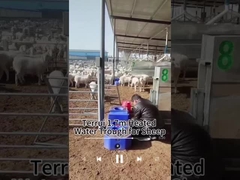 Διατήρηση της θερμότητας Υδροδοχείο ζωικού κεφαλαίου για αξιόπιστη παροχή νερού χωρητικότητα 200kg