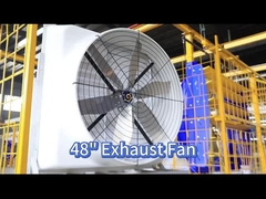 Βελτίωση της κυκλοφορίας του αέρα με ανεμιστήρα πουλερικών 121139m3/h και κινητήρα PMSM