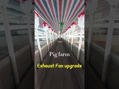 Όγκος Βιομηχανικός ανεμιστήρας εξάτμισης 72 ίντσες Διαμέτρος λεπίδας IP55 βαθμός προστασίας