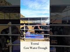 Ζωικό κεφάλαιο αυτόματο Waterer