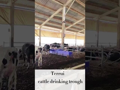 Ενεργοποιητής πόσιμου ζώων LLDPE με 3 σύνολα δίσκων θέρμανσης 220V300W για βοοειδή