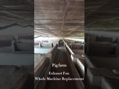 IP55 Βιομηχανικοί ανεμιστήρες εξάτμισης πυρκαγιάς για εγκατάσταση σωλήνων 60 mm