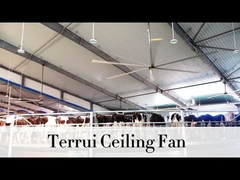 9.53m3/min Ρύση αέρα Βιομηχανικός ανεμιστήρας οροφής 14300 m3/min Μέγιστη απόδοση