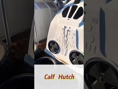 Απομονωμένα λευκά ορθογώνια πολυαιθυλένιο γαλακτοκομικά καλώδια μοσχαριών