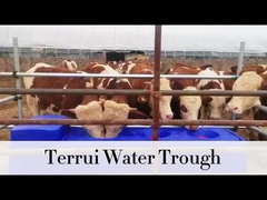 85L μπλε βαριά δεξαμενή πότισης με 3/4 πλεγμένο σωλήνα