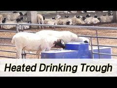 Υψηλής χωρητικότητας ποτηριστήρα αγελάδας με χωρητικότητα 260L και ύψος πόσιμου 190mm