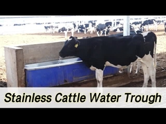 2 σετ 1800W ρυθμιζόμενο σύστημα θέρμανσης ζώων αυτοματοποιημένο πόσιμο με ρυθμό ροής 100-120L/min