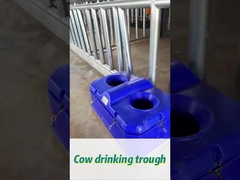 Υψηλή ροή αγελάδας πόσιμο για εύκολο πόσιμο σε ύψος 450mm πόσιμο