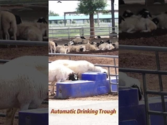 120L/min Ποσοστό ροής Αγελάδα πόσιμο τρύπα 150L χωρητικότητα για τη γεωργική παραγωγή