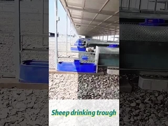 60L χωρητικότητα αγελαδινή ποτοκάμαρα 170*48*46cm Ιδανικό για μεγάλες αγέλες