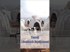 Λευκό πολυαιθυλένιο γαλακτοκομικό μοσχαράκι, βασικός εξοπλισμός για τις γαλακτοκομικές εκμεταλλεύσεις