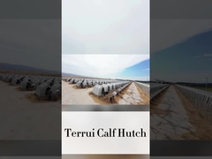 220*145*145cm λευκά γαλακτοκομικά μοσχαράκια τέλεια για τις αγροτικές σας ανάγκες