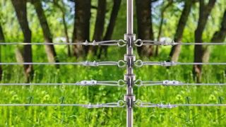 Ασφαλίστε τα ζώα σας: Πώς να εγκαταστήσετε μονωτές T-Post σε ηλεκτρικές περιφράξεις