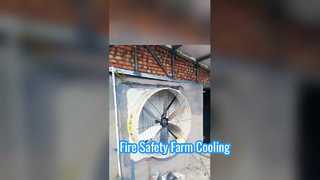 Εξαερισμός υψηλής ταχύτητας: Βιομηχανικοί ανεμιστήρες εξάτμισης Terrui σε δράση