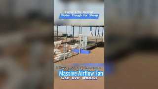 Θερμαινόμενη Γούρνα Ζωικού Νερού 1,7 μέτρων από ανθεκτικό πλαστικό περίβλημα για αντοχή σε ακραίες κρύες συνθήκες